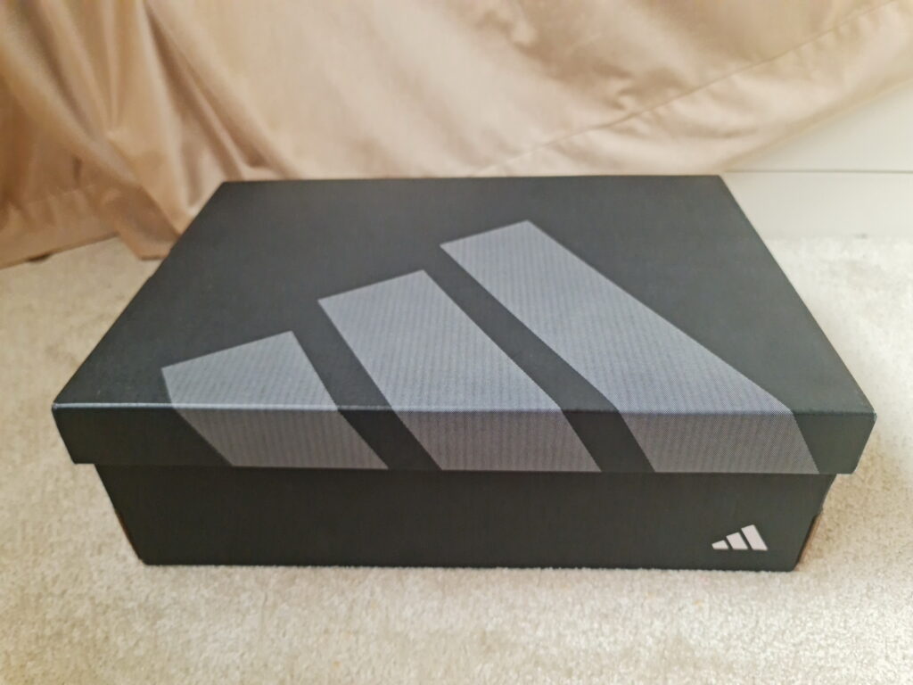 Adidas Ultraboost 5X STEPN Edition Box