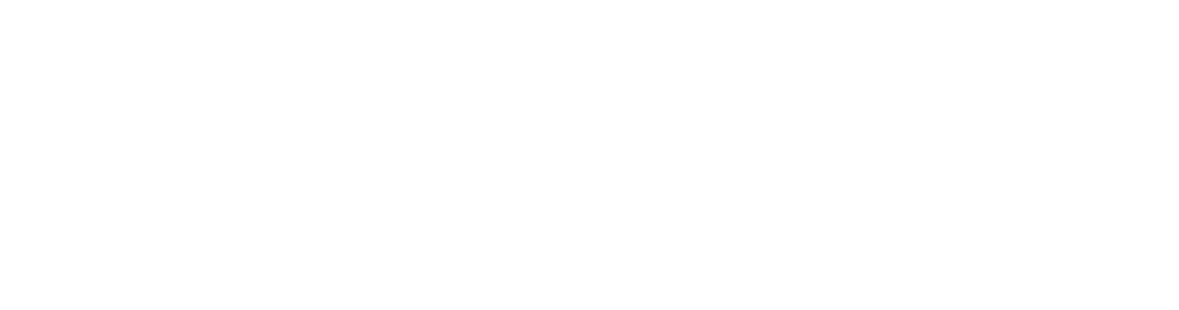 STEPN GO